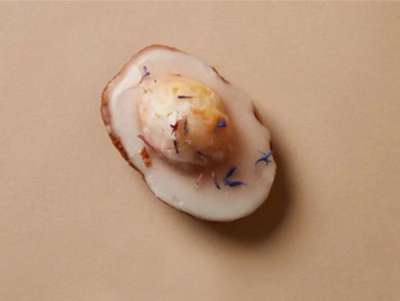 Mélange de fleurs séchées pour la pâtisserie : des pétales de bleuet pour décorer une madeleine aux fleurs