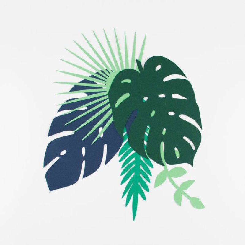 Feuilles tropicales